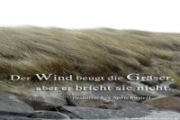 Der Wind beugt die Gräser, aber er bricht sie nicht. (Asiatisches Sprichwort)