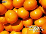 Orangen - Matthäus 6,34