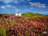 Haus in Schottland - Psalm 32,10b